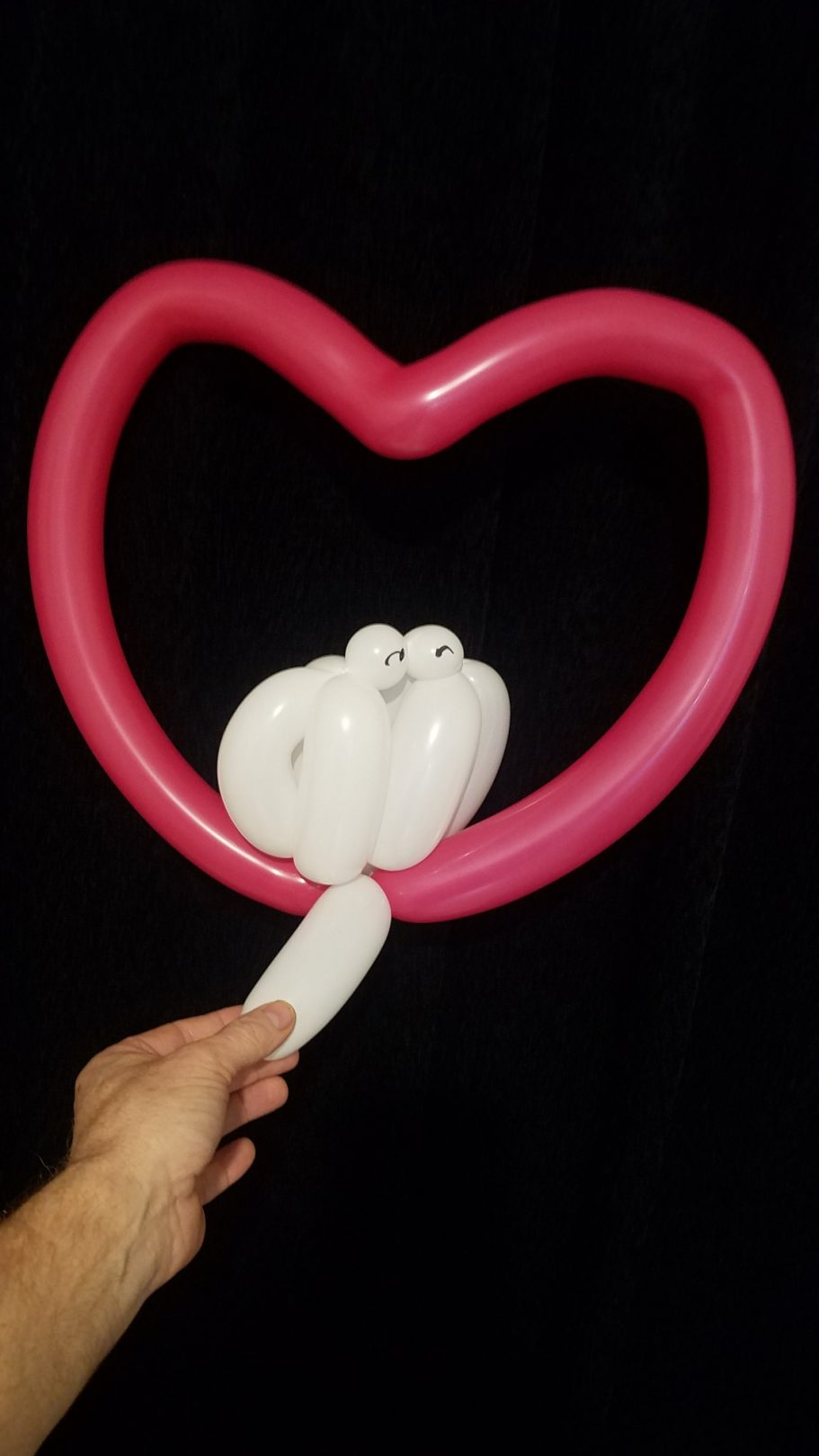 Colombes dans un cœur sculpture ballons Dove dans cœur sculpture ballon